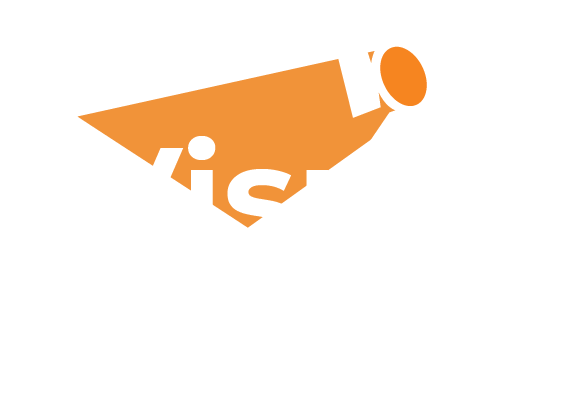 Visual Story